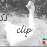 ホームページ制作　css clip
