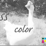 ホームページ制作　css color
