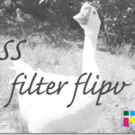 ホームページ制作　css filter flipv