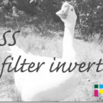 ホームページ制作　css filter invert