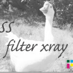 ホームページ制作　css filter xray