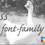 ホームページ制作　css font-family　フォントファミリー