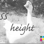 ホームページ制作　css height　ハイト