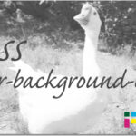 ホームページ制作　css layer-background-color