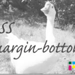 ホームページ制作　css margin-bottom　マージンボトム