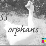 ホームページ制作 css orphans オーファン