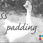 ホームページ制作　css padding　パディング