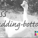 ホームページ制作　css padding-bottom　パディングボトム