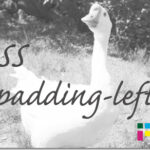 ホームページ制作　css padding-left　パディングレフト