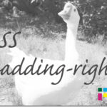 ホームページ制作　css padding-right　パディングライト