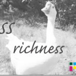 ホームページ制作　css richness　リッチネス