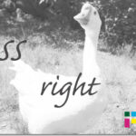 ホームページ制作 css right ライト