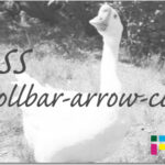 ホームページ制作　css scrollbar-arrow-color