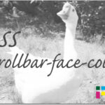 ホームページ制作　css scrollbar-face-color