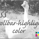 ホームページ制作　css scrollbar-highlight-color