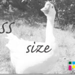 ホームページ制作 css size サイズ
