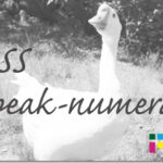 ホームページ制作　css speak-numeral