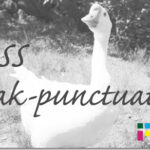 ホームページ制作　css speak-punctuation