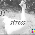 css stress
