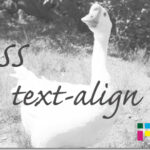 ホームページ制作　css text-align　テキストアライン