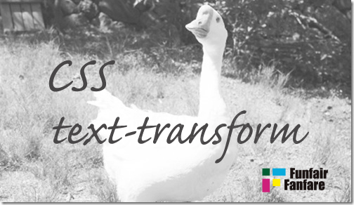 ホームページ制作　css text-transform　テキストトランスフォーム