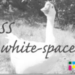 ホームページ制作 css white-space ホワイトスペース