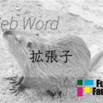 拡張子 Web制作|ホームページ制作