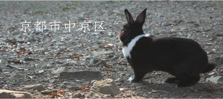京都市中京区
