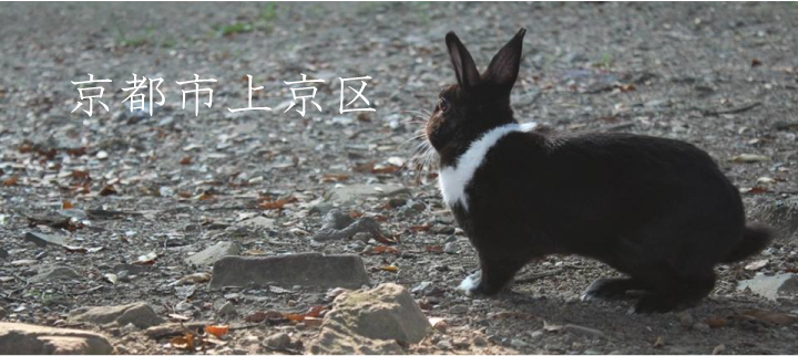 京都市上京区
