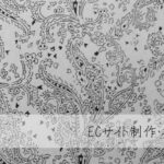 ECサイト制作・ネットショップ構築