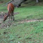 ホームページ制作におけるWebライティングとブランド力