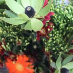 ホームページのコンテンツの新鮮さと正確性