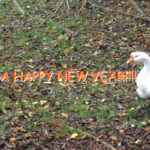 happynewyear2017