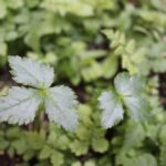 ホームページを有効活用するためのチェックポイント