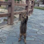 あなたのホームページに「お問い合わせ」が来ない本当の理由