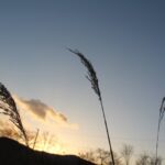 SEOキーワードを調整してホームページのWebマーケティング効果向上させる