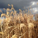 ホームページ制作や修正の際に注意すべき記述ミス【初心者編】