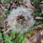 ホームページからの問い合わせを増やすための方法