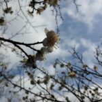 ペルソナマーケティング 私が提唱する最強の「ペルソナ設定」