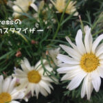 WordPressのテーマカスタマイザー