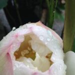 情報の信頼性 SEOのその前に