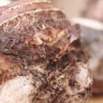 CMSの性質 CMSの最大の強みと弱点を補うポイント