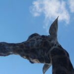 WordPressサイトのヘッダーウィジェットを使ってヘッダーをカスタマイズする
