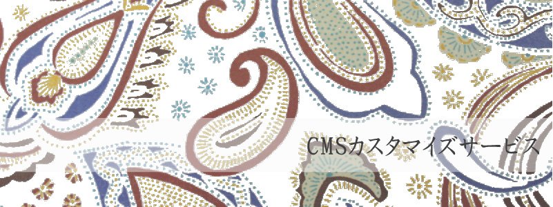 CMSカスタマイズサービス(WordPress等)