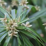 WebマーケティングやSEOのデータ分析は投資分析に近い