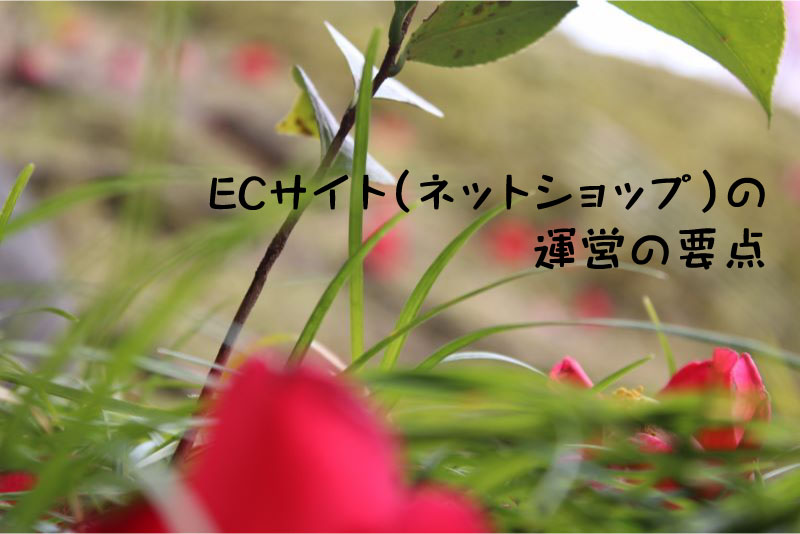 ECサイト（ネットショップ）の運営の要点