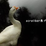 ホームページ制作 scrollbar系プロパティ