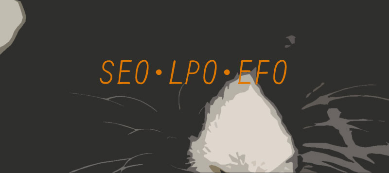 SEO・LPO・EFO ホームページ制作