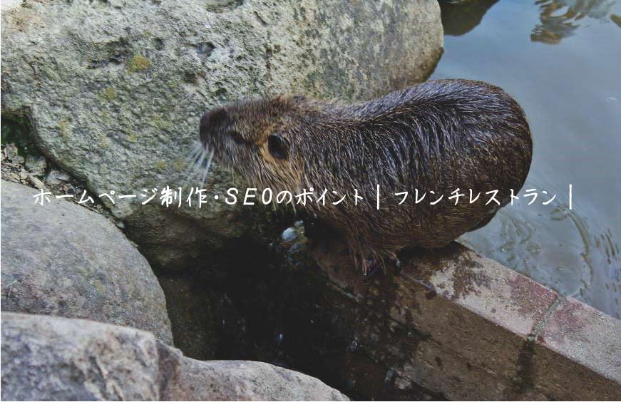 ホームページ制作・SEOのポイント｜フレンチレストラン｜飲食店