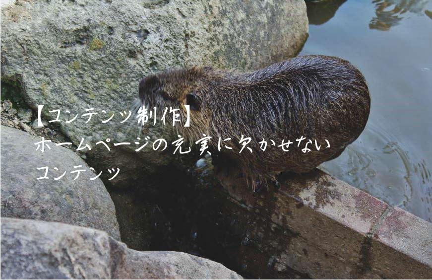 【コンテンツ制作】ホームページの充実に欠かせないコンテンツ